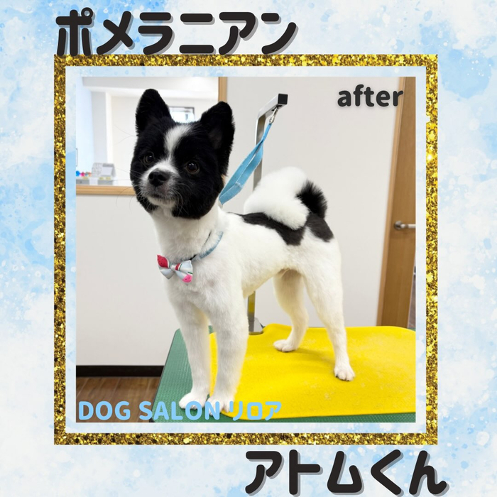 画像6496