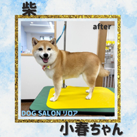 画像6508