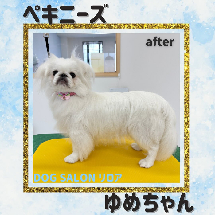 画像651