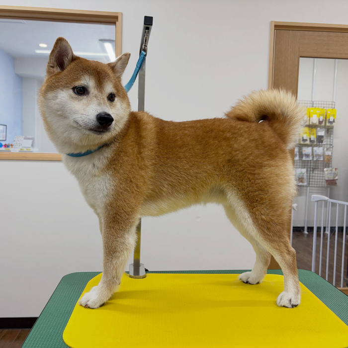 画像6524