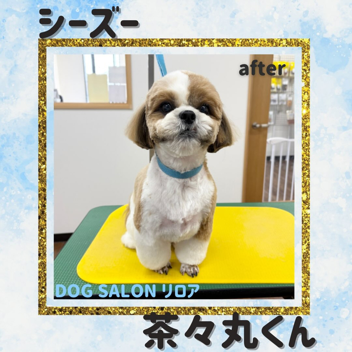 画像6527