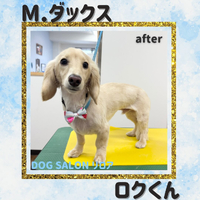 画像6533