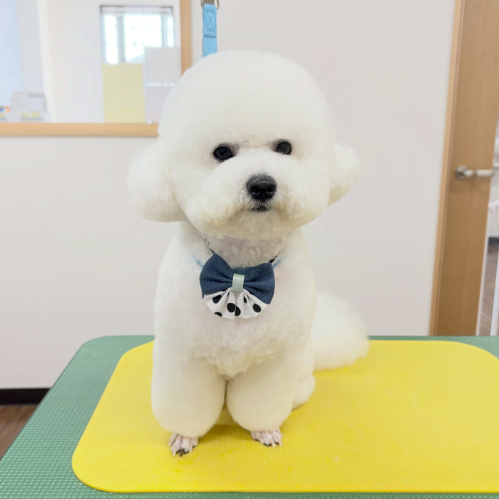 画像6546