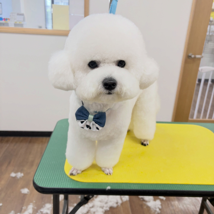 画像6547