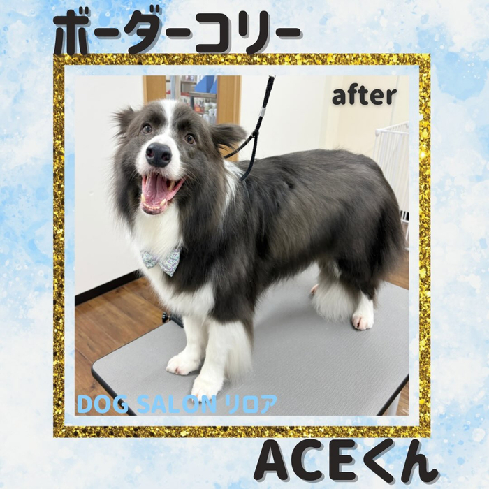 画像6558