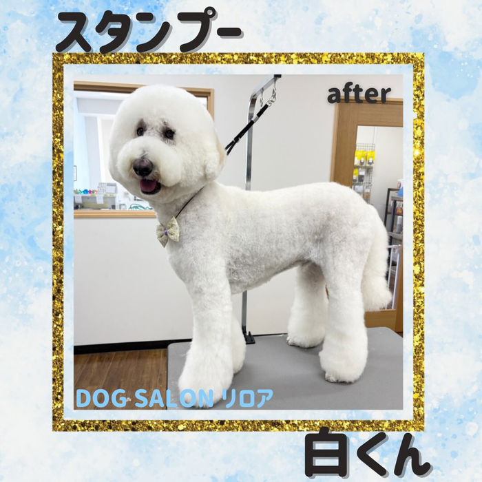 画像6565