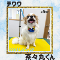 画像6577