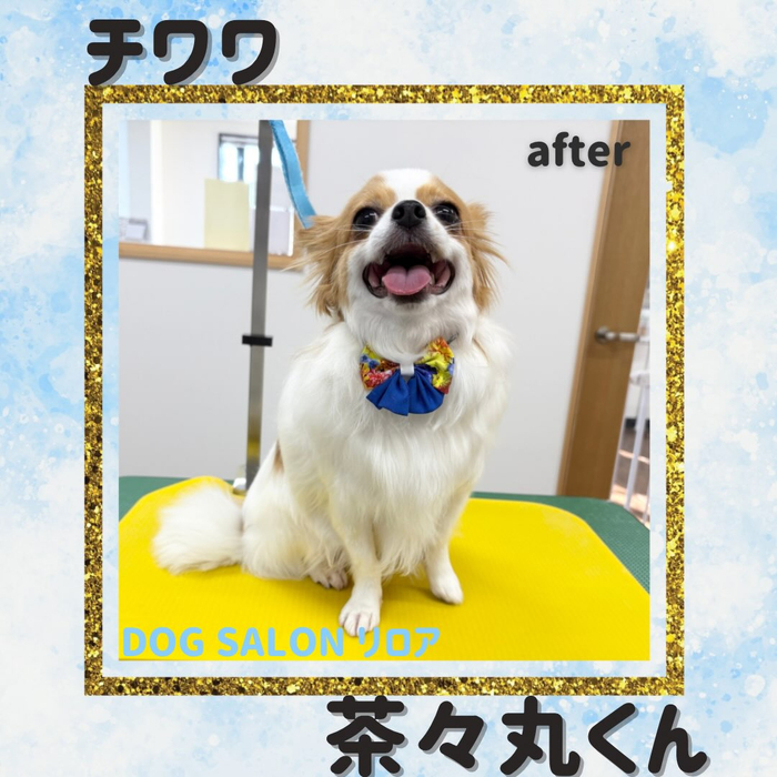 画像6577