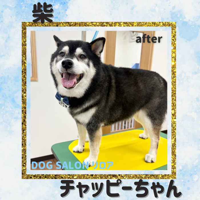 画像6596