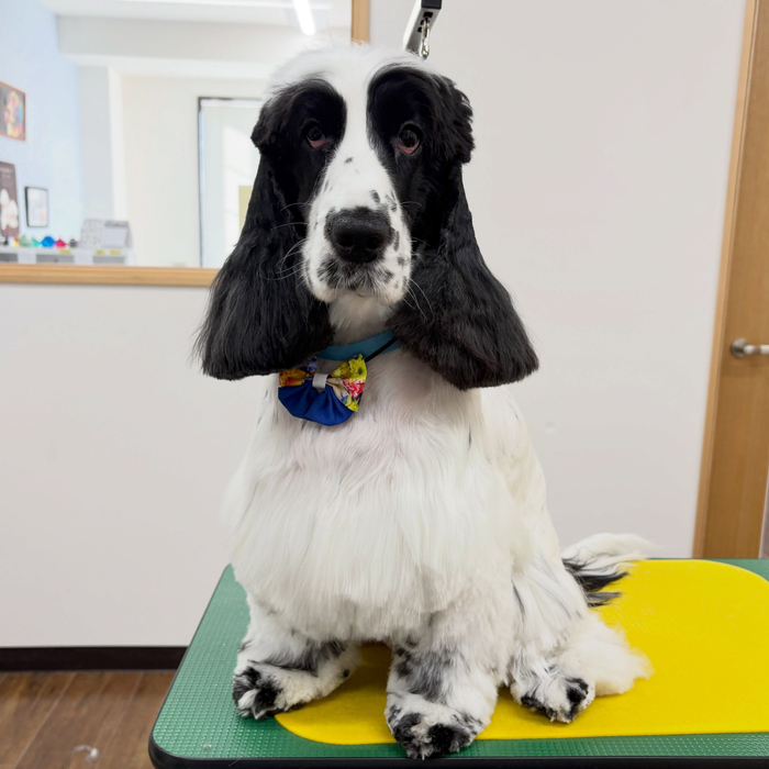 画像6603