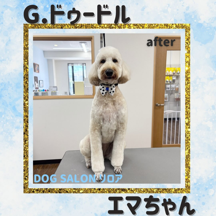 画像6614