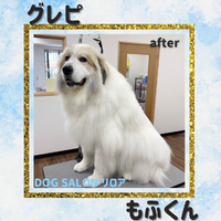 画像6626