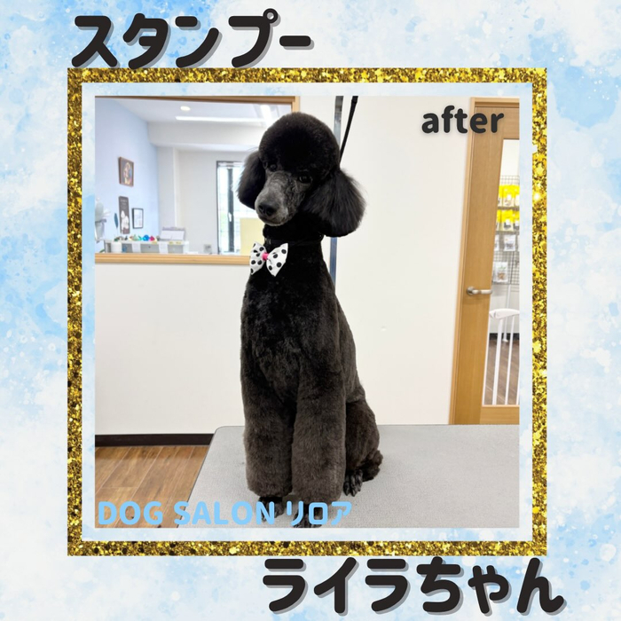 画像6639