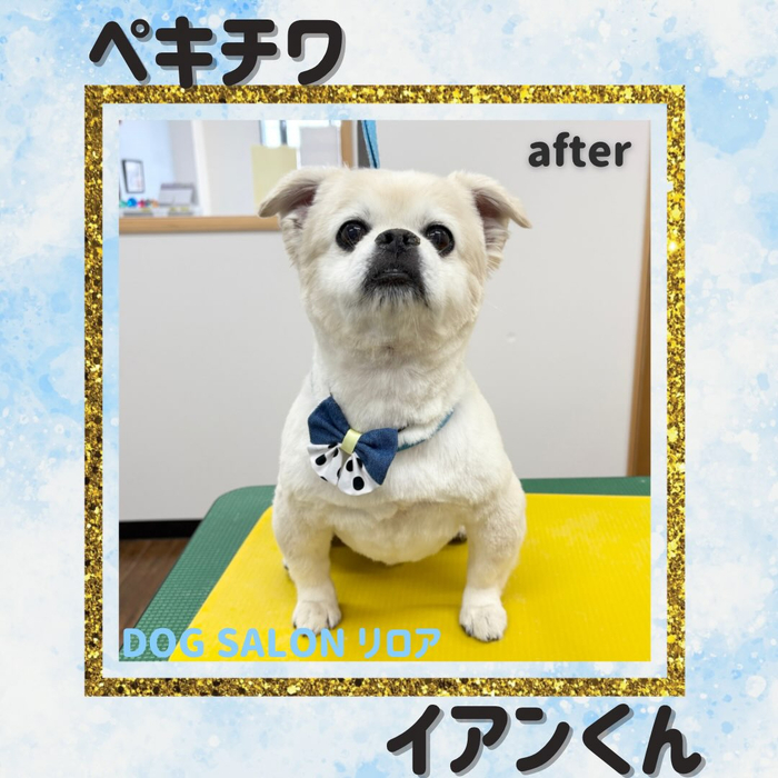 画像6651