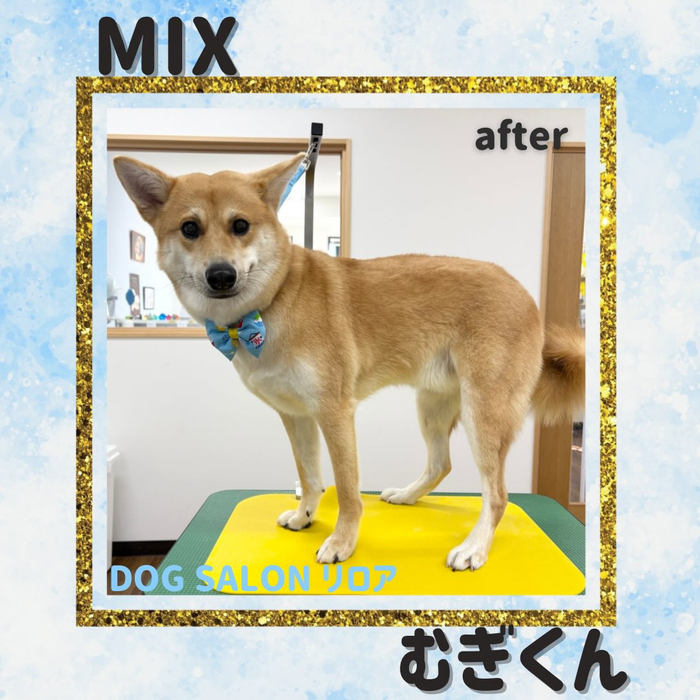 画像6675