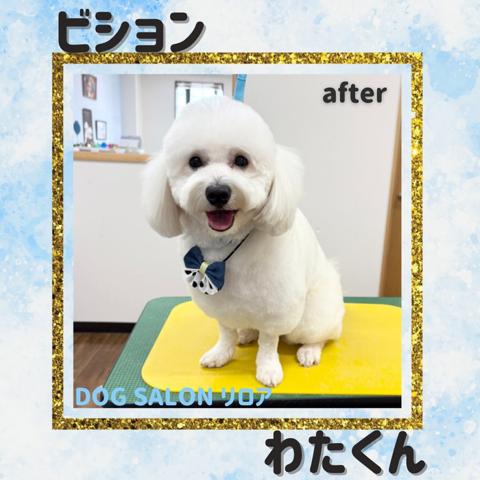 画像6693