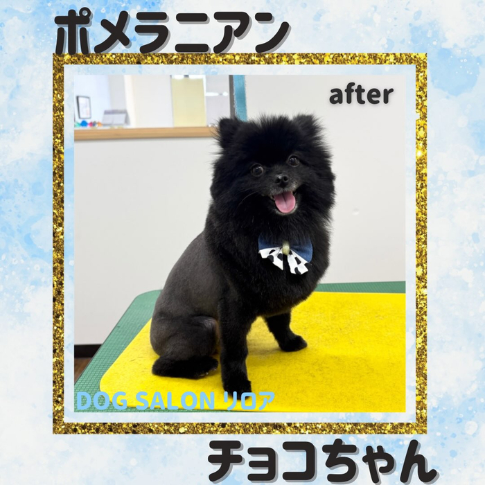 画像6699