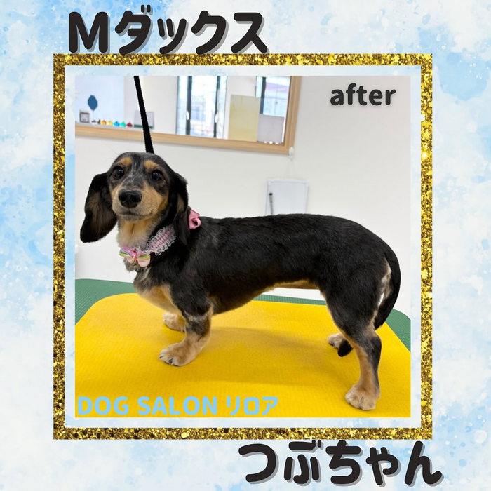 画像672