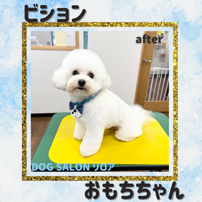 画像6723