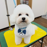 画像6725