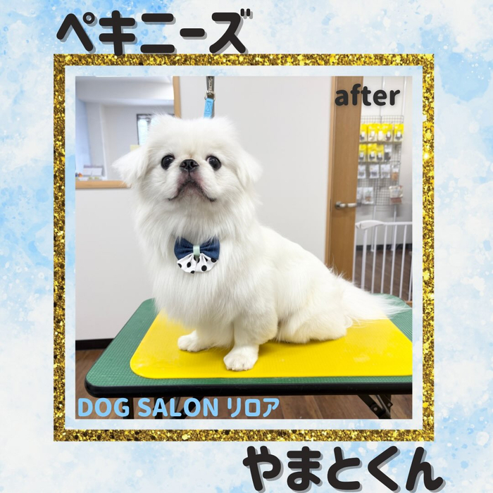 画像6729