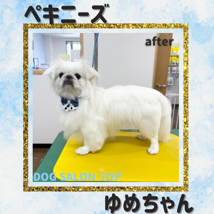 画像6735