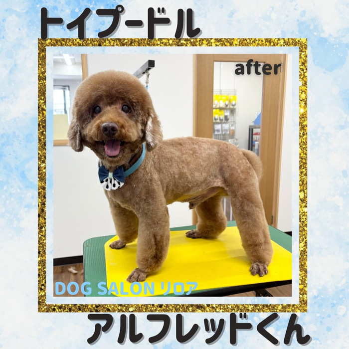 画像6753