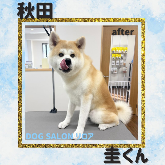 画像6759