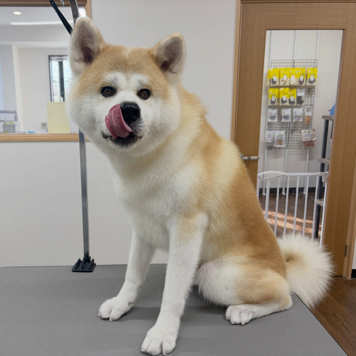 画像6760