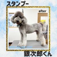 画像6766
