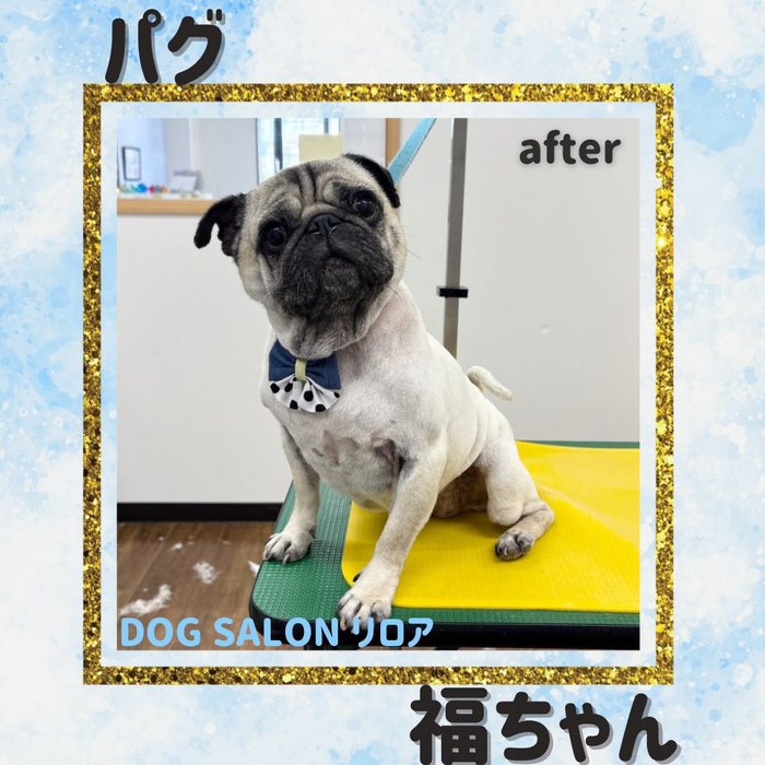 画像6772