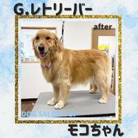 画像6778