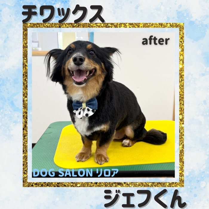 画像6784