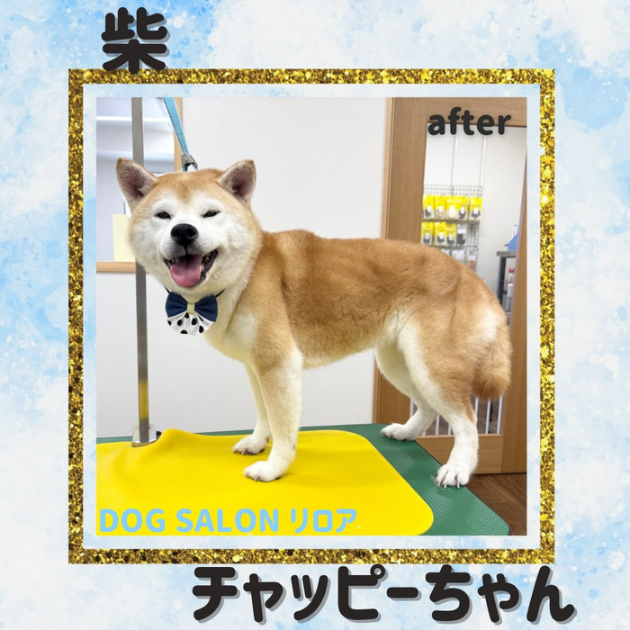 画像6790