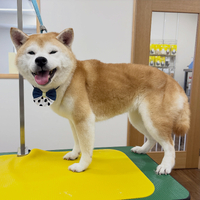 画像6791