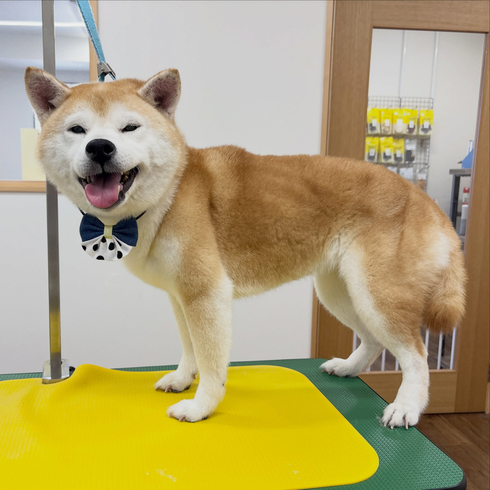 画像6791