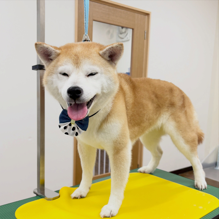 画像6792