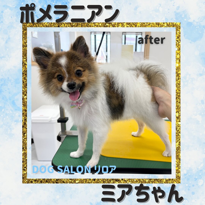 画像680