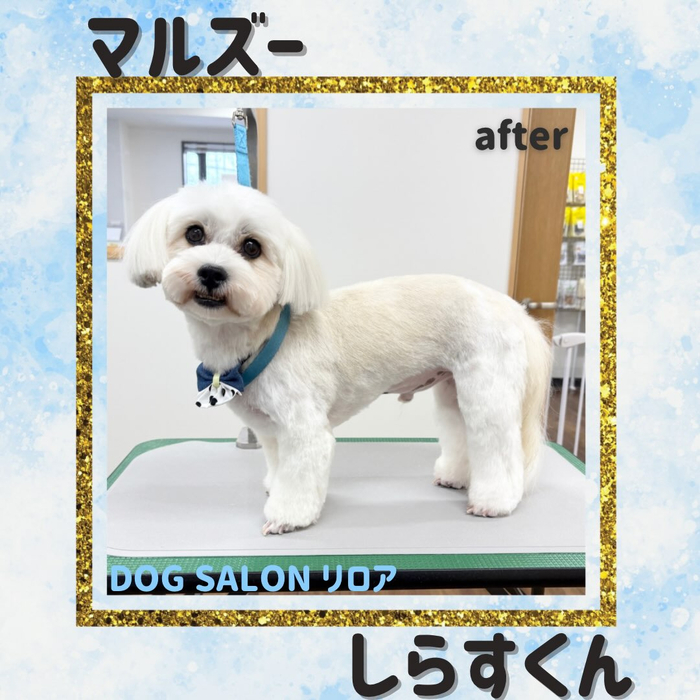 画像6814