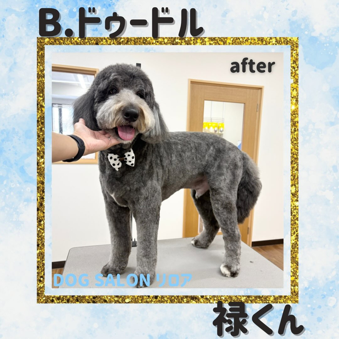 画像6820