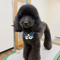 画像6828