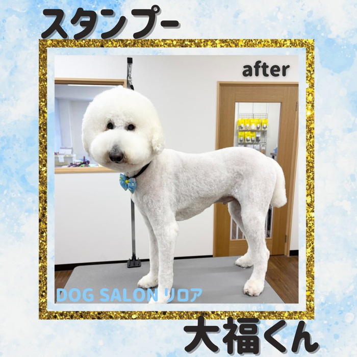 画像6838
