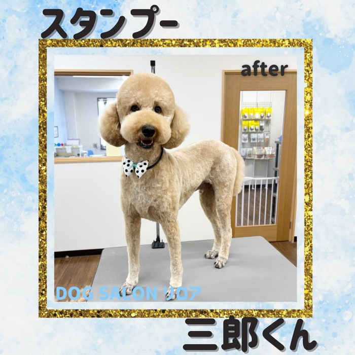 画像6856