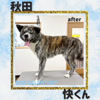 画像6874