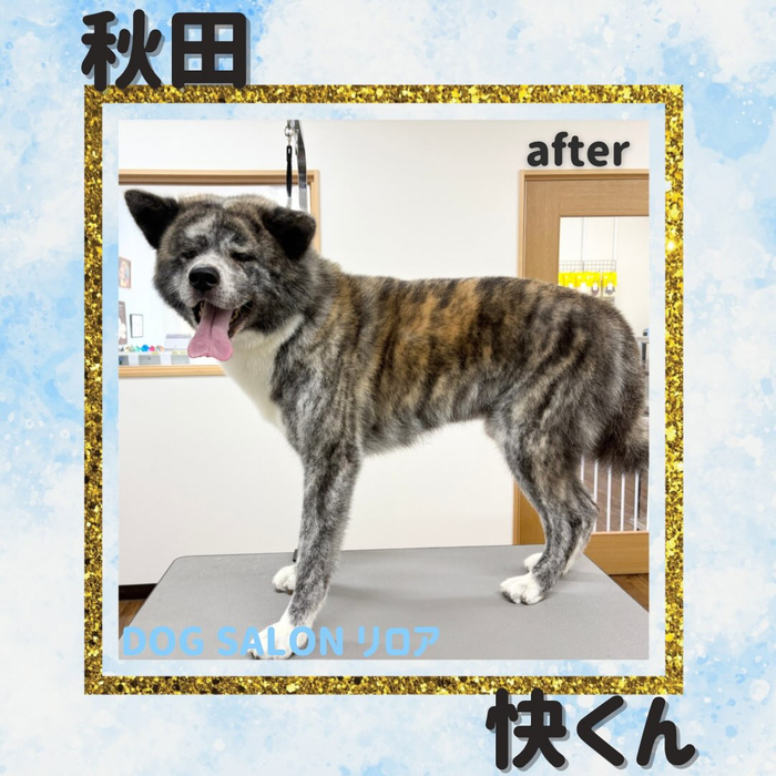 画像6874