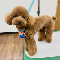 画像6882