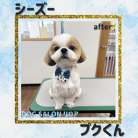 画像6886
