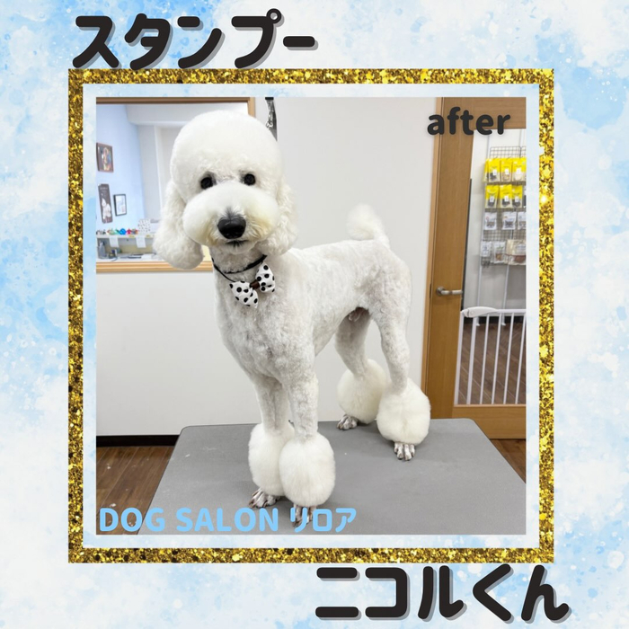 画像6898
