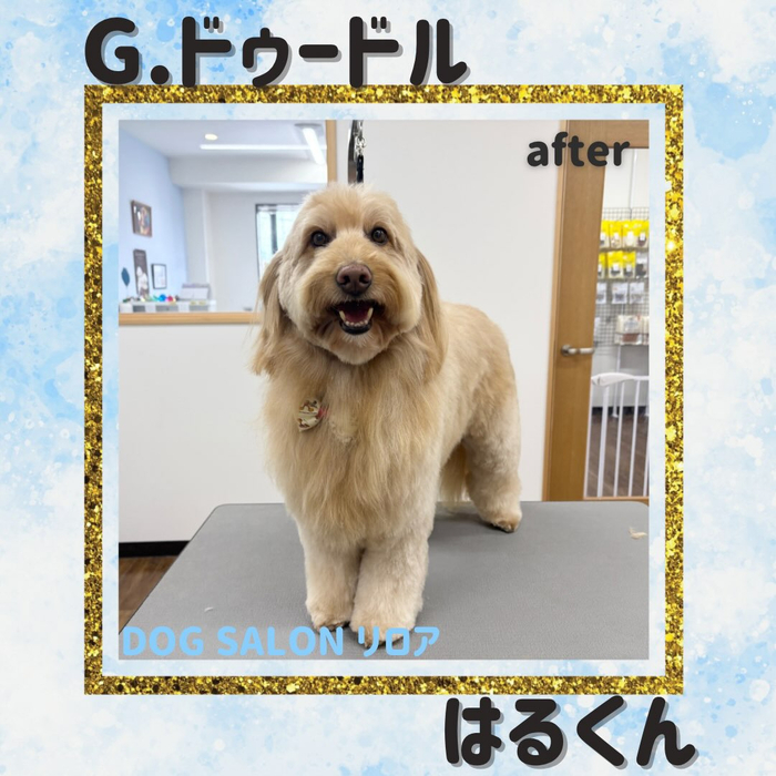 画像6952