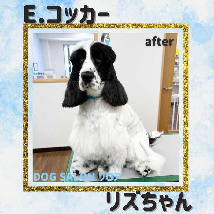 画像6976